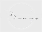 BOZANKAYA